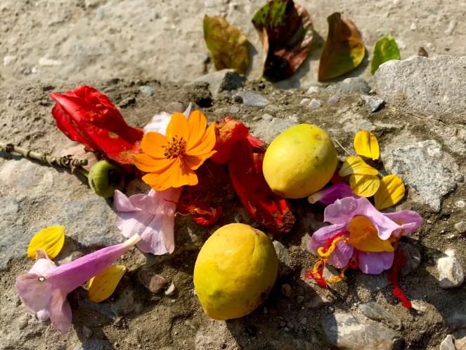 B63A1493-D4EA-4AFC-AFC3-AEE069761F9B