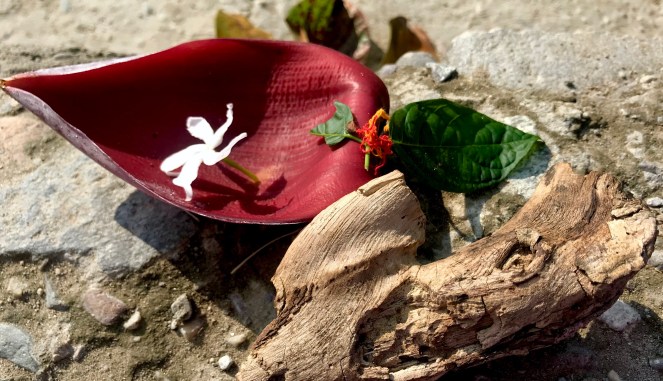 C3439DEF-C9D3-4D0B-B243-7625AB034854